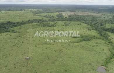 Imagem 13: Fazenda no Pará - São Miguel do Guamá - 260 ha 53 alq