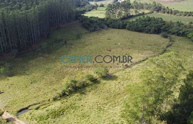 Imagem 2: EXTRAORDINÁRIA FAZENDA DE 422 HA COM ÓTIMA ESTRUTURA E EUCALIPTO POR...