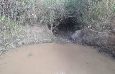 Imagem 8: Fazenda em Areal. 557m² de Área