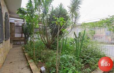 Imagem 3: São Paulo - Casa Padrão - São Lucas