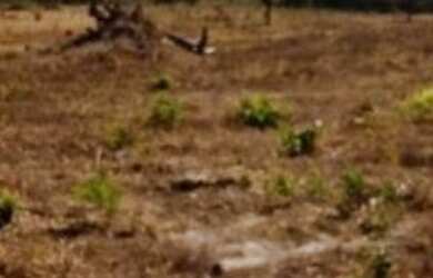 Imagem 2: VENDO FAZENDA DE 10 ALQUEIRES NO MUNICÍPIO DE GOIÁS VELHO