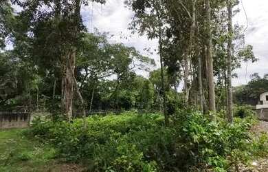 Imagem: O terreno possui 929m² de Área e está localizado em Tarumã