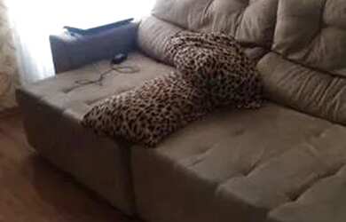 Imagem 1: Apartamento Residencial à venda, Jardim Oriental, São Paulo - AP0092