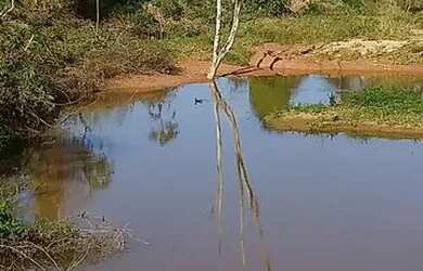 Imagem: A chácara possui 2.432m² de Área e está localizado em Esplanada