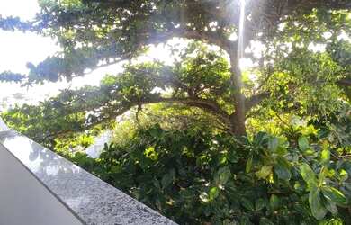 Imagem 2: ALUGO CARANAVAL MOBILIADO 1/4 NO RIO VERMELHO - Salvador - BA