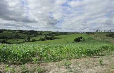 Imagem: A chácara possui 12.000m² de Área e está localizado em