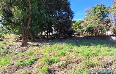 Imagem 6: TERRENO - CHÁCARAS SILVANIA - SP