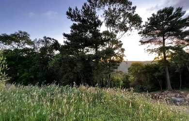 Imagem 5: Terreno - Bairro Vila Dante