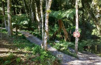 Imagem 16: Sitio - Bairro Santa Terezinha