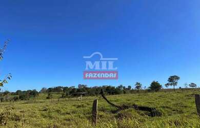 Imagem 6: Fazenda 68 alqueires 329 hectares Campos Verdes-GO