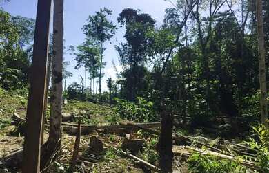 Imagem: O terreno possui 400m² de Área e está localizado em Tarumã