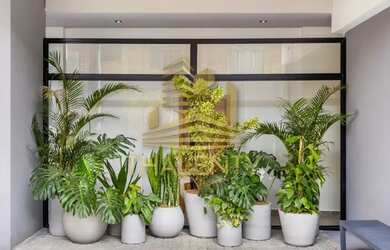 Imagem 5: STUDIO com 1 dormitório à venda por R$ 289.000,00 no bairro São Francisco...