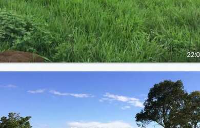 Imagem 4: Vende-se uma excelente fazenda de 1.402 hectares