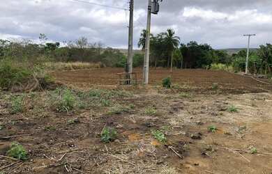 Imagem 6: FAZENDA A VENDA. 