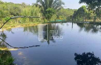 Imagem: A fazenda possui 100m² de Área e está localizado em Cocalzinho