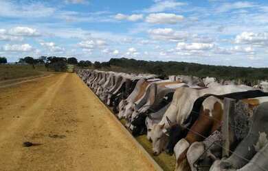 Imagem: A fazenda está localizado em Mineiros, GO à venda por R$99.999.000