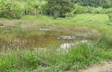 Imagem 3: Vendo ótima fazenda. 