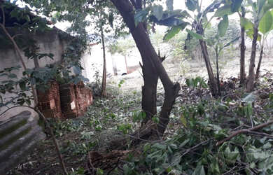 Imagem 12: Lote todo murado com 14,00 metros de frente bairro Marimbá -Betim