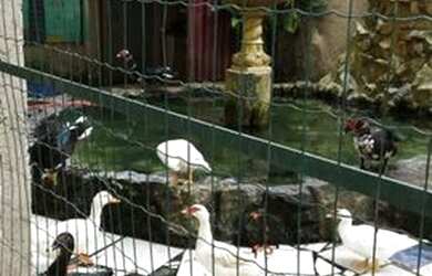 Imagem 14: Aptº. Cond. Jardim Iaraquã / Ac. carta