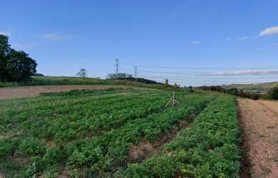 Imagem 12: Lote/Terreno para venda tem 600 metros quadrados em Centro - Atibaia -...