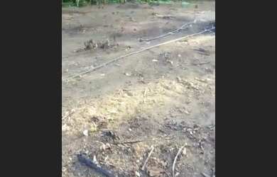 Imagem 3: Terreno 10x60 Terreno / lote com venda por R$18.000