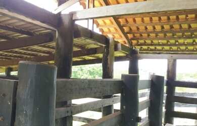 Imagem 9: VENDO FAZENDA DE 10 ALQUEIRES NO MUNICÍPIO DE GOIÁS VELHO