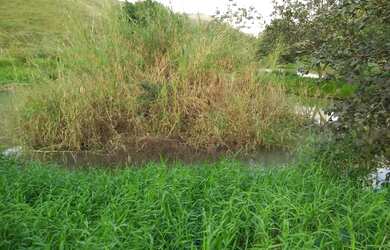 Imagem 4: FAZENDA REGIAO SERRANA CANTAGALO FORMADA E PERTO DA CIDADE