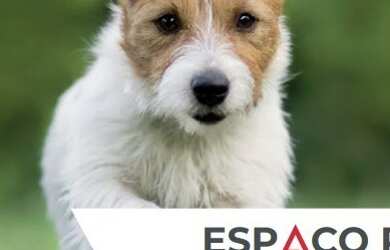 Imagem 10: Atibaia - Apartamento Padrão - Atibaia Jardim