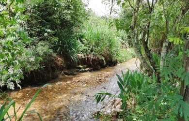 Imagem 11: Chácara Residencial Luana Parque Goiânia/GO