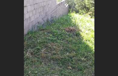 Imagem 10: Lote/Terreno para venda possui 600 metros quadrados em Freguesia Jacarepaguá...