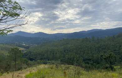 Imagem: O terreno possui 1.000m² de Área e está localizado em Centro