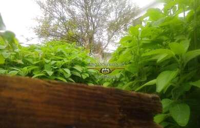 Imagem 7: Terreno à venda, 250 m² por R$ 450.000,00 - Jardim Vila Formosa - São...