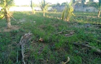 Imagem: O terreno possui 2000m² de Área e está localizado em Village