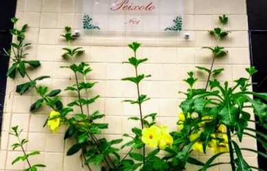 Imagem 1: ALUGUEL DE APARTAMENTO MOBILIADO