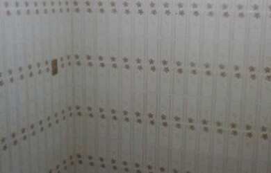 Imagem 12: Porto Alegre - Apartamento Padrão - Cristo Redentor