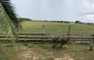 Imagem 4: Fazenda no Amajari