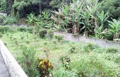 Imagem 7: Chácara para Venda - Horto Florestal