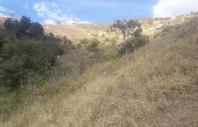 Imagem 14: Fazenda em Areal. 557m² de Área