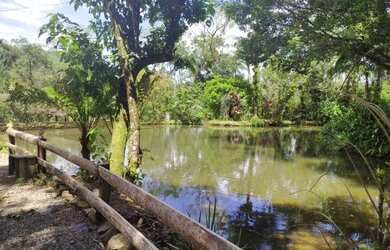 Imagem 8: Chácara Sítio. 30000m² de Área