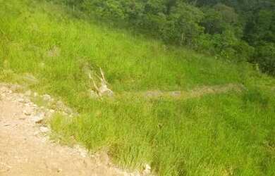 Imagem: O terreno possui 1.000m² de Área e está localizado em Capoavinha