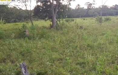 Imagem 3: FAZENDA À VENDA EM GOIATINS - TO - 329,12 HECTARES PECUÁRIA