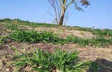 Imagem: O terreno possui 500m² de Área e está localizado em Jardim