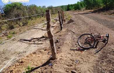 Imagem 8: FAZENDA À VENDA EM GOIATINS - TO - 329,12 HECTARES PECUÁRIA