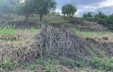 Imagem 2: Terreno à venda, 1482 m² por R$ 425.000,00 - Caxito Pequeno - Maricá/RJ