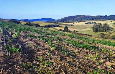 Imagem 15: Lote/Terreno para venda tem 500 metros quadrados em Usina - Atibaia -...
