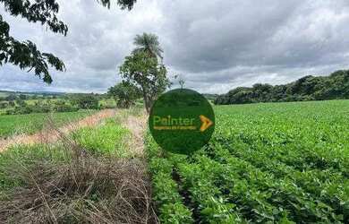 Imagem 5: Fazenda à venda, 16940000 m² por R$ 3.850.000 - Zona Rural - Uruaçu/GO