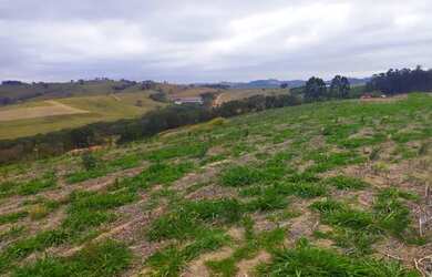 Imagem 5: Lote/Terreno para venda tem 500 metros quadrados em Usina - Atibaia -...
