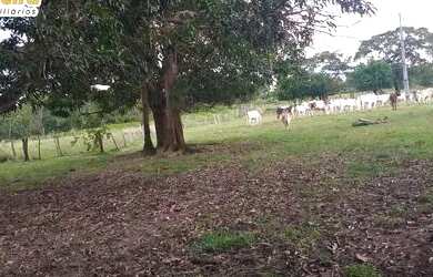 Imagem 1: FAZENDA À VENDA EM GOIATINS - TO - 329,12 HECTARES PECUÁRIA