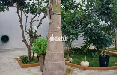 Imagem: A casa possui 3 Dormitórios, 3 Banheiros, 3 Vagas na garagem