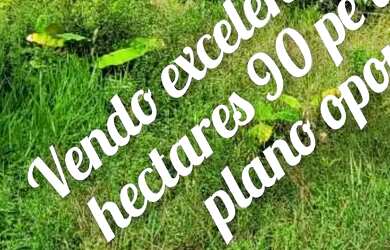 Imagem: A chácara possui 4m² de Área e está localizado em Valença